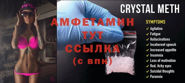 меф Ельня