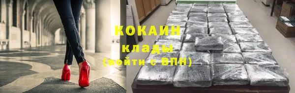 меф Ельня