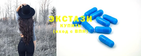 меф Ельня