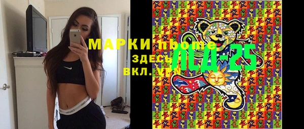 меф Ельня