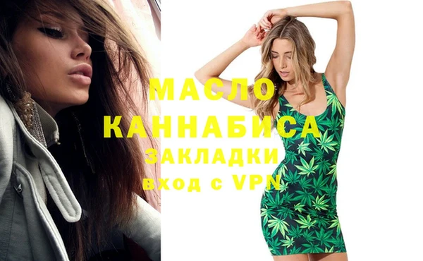 меф Ельня