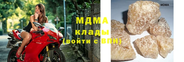 меф Ельня