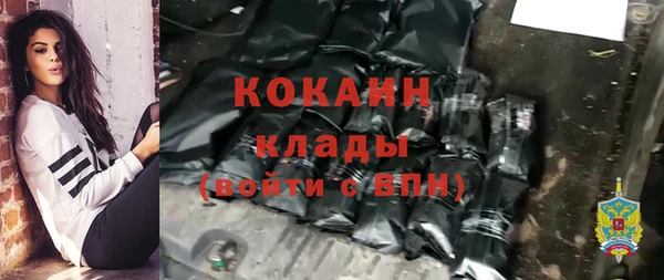 меф Ельня