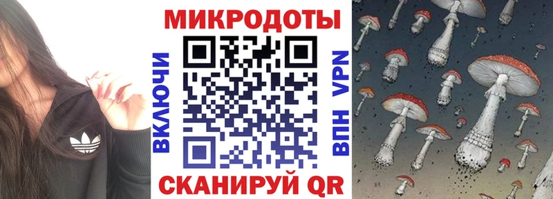 как найти закладки  Сенгилей  Псилоцибиновые грибы Psilocybe 